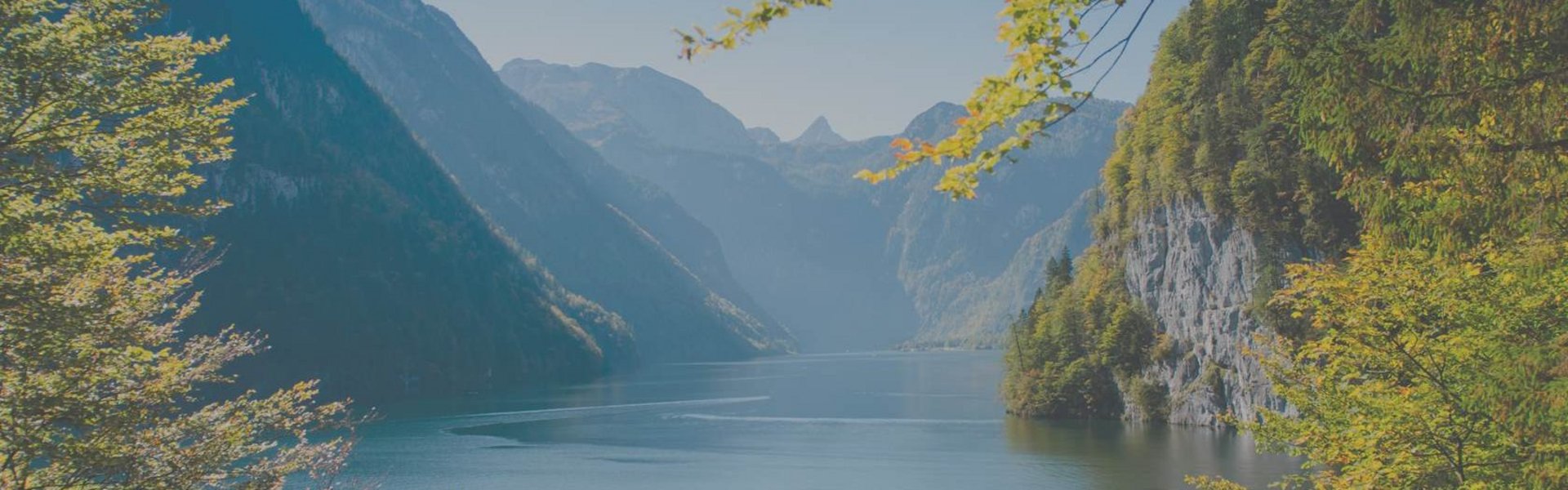 Verschwommener, milchiger Blick auf eine Landschaft mit See – typische Sehbeeinträchtigung bei Katarakt (Grauer Star)