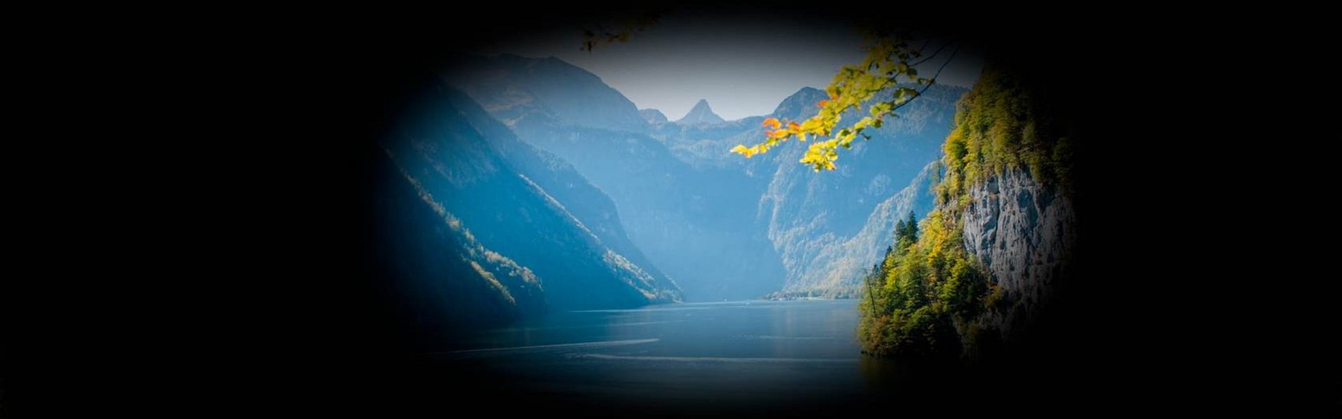 Das Bild zeigt Pigementosa auf Level 3