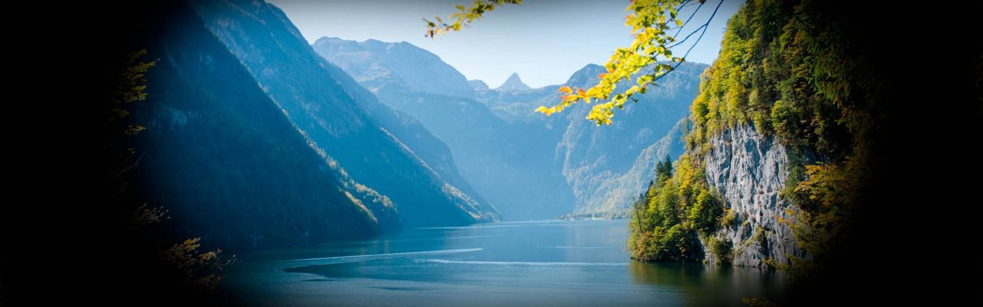 Das Bild bildet die Augenerkrankung Pigmentosa ab