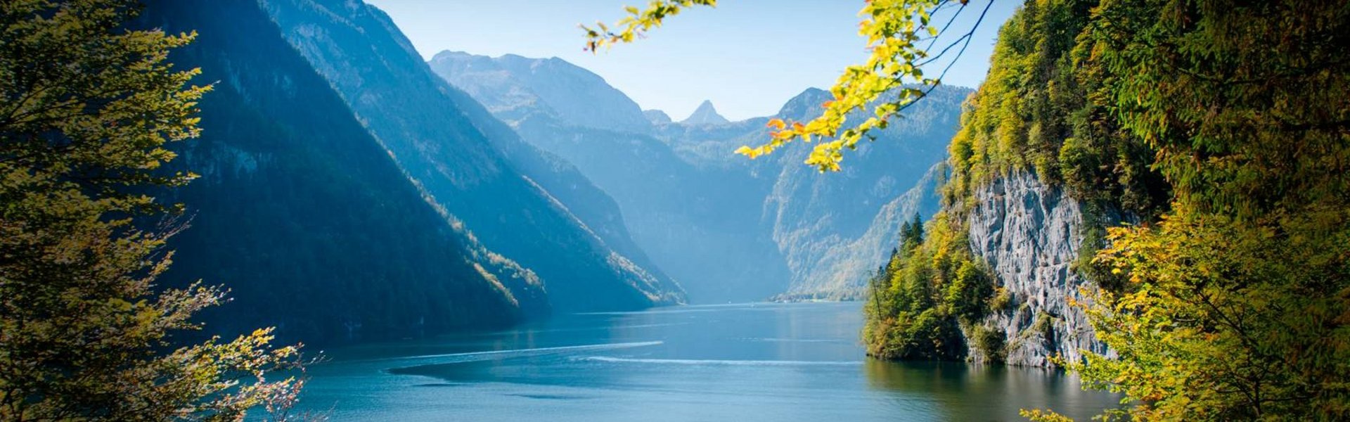 Das Bild bildet die Augenerkrankung Pigmentosa ab